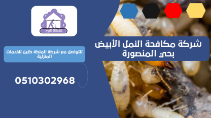 شركة مكافحة النمل الأبيض بحي المنصورة | 0510302968