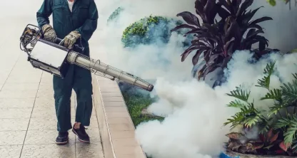 شركة مكافحة الناموس بالرياض