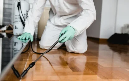 شركة مكافحة النمل بالرياض