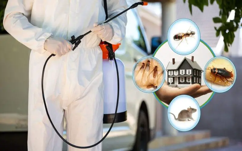 أفضل شركة مكافحة البعوض بشمال الرياض