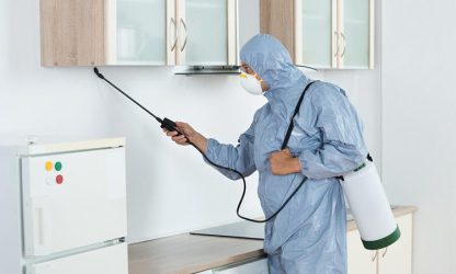 أرخص شركة مكافحة حشرات بالرياض