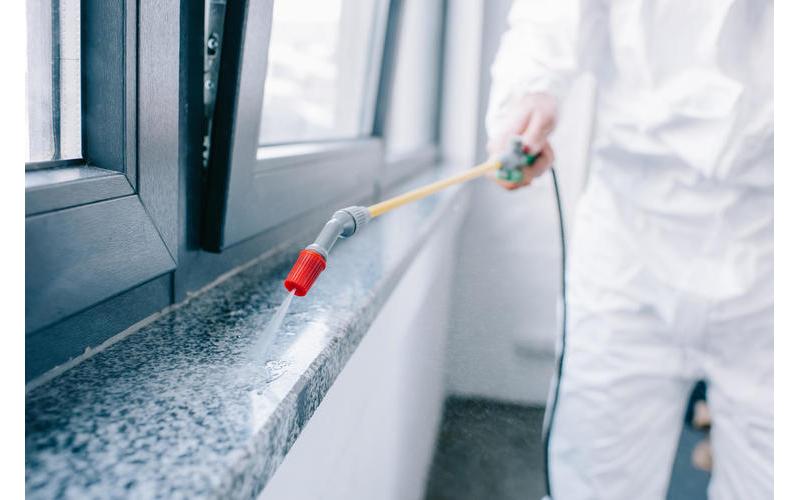 افضل شركة مكافحة حشرات في الغطغط