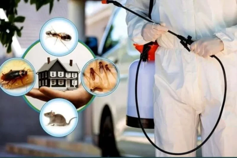 شركة مكافحة الآفات بالرياض| 0510302968