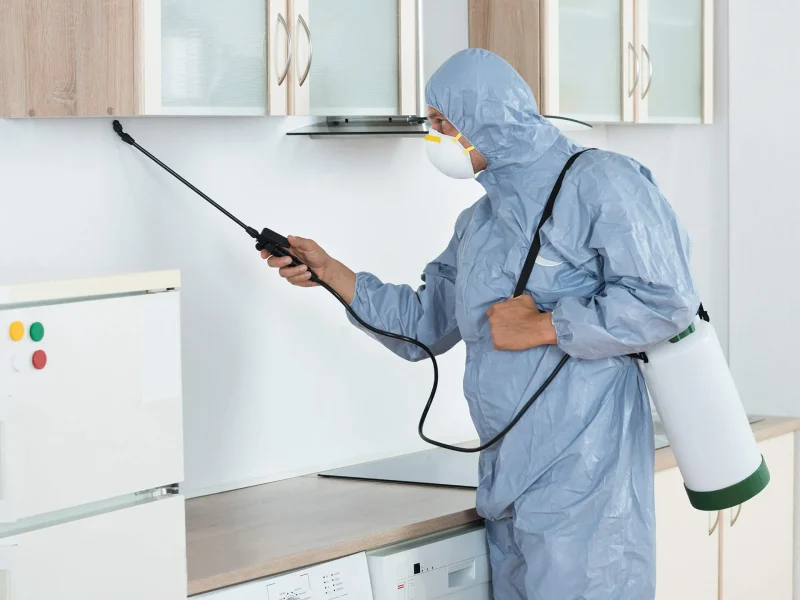 شركة مكافحة البق بالرياض