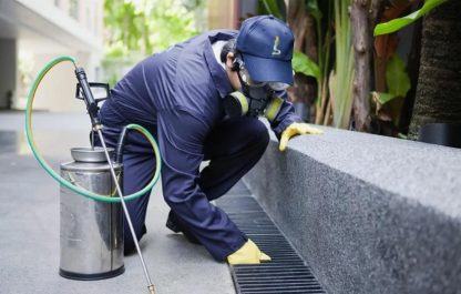أفضل شركة مكافحة حشرات بالرياض