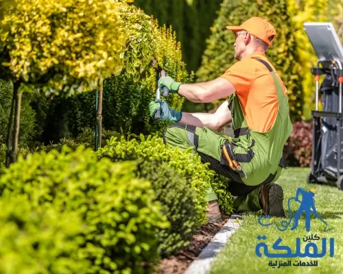أفضل شركة تنسيق حدائق بالرياض