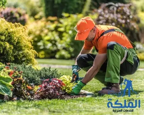 شركة تنسيق حدائق فلل